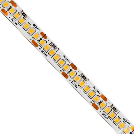 GloboStar Ταινία LED 24V Θερμό Λευκό Φως 5m Τύπου SMD2835