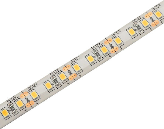 Avide Waterproof LED Strip ABLS12V2835-120CW65 12V Cold White Light 5m Type SMD2835