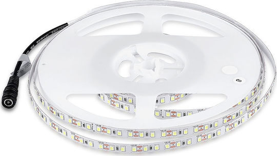 V-TAC Bandă LED 12V Alb Rece Lumină 5m Tip SMD3528