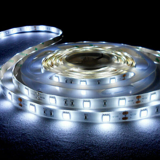 Eurolamp LED Strip 24V Cold White Light 5m