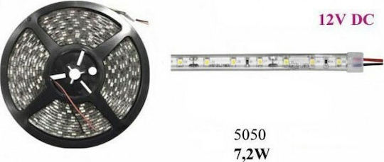 Atman Waterproof LED Strip 12V Cold White Light 5m Type SMD5050