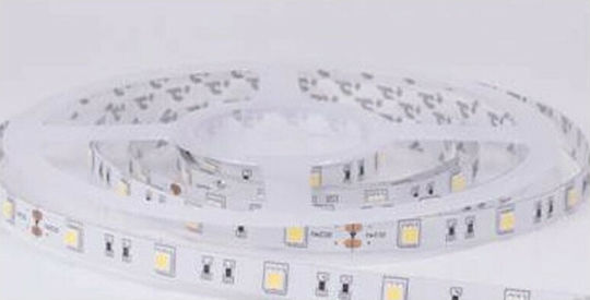 Aca Αδιάβροχη Ταινία LED 24V Ψυχρό Λευκό Φως 1m Τύπου SMD2835