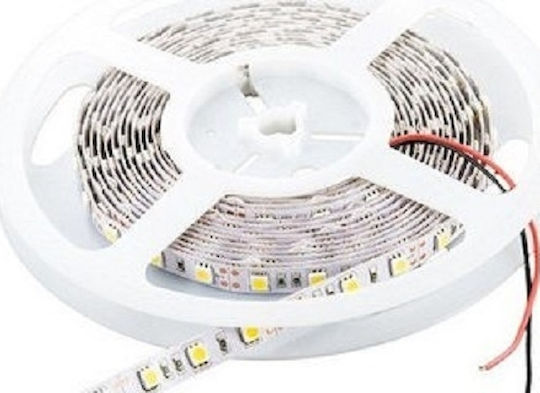 Cubalux Ταινία LED 12V Θερμό Λευκό Φως 5m Τύπου SMD2835