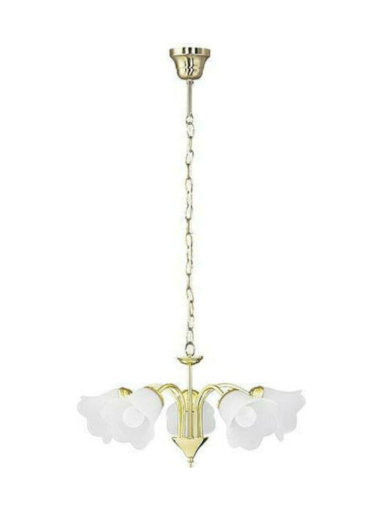 Rabalux Pendant Chandelier for 5 Bulbs E14, E.14 White