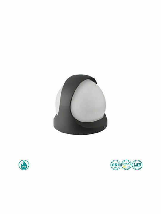 Sun Light Επιτοίχια Εξωτερική Πλαφονιέρα LED IP65 12.5W 20.3x18εκ.