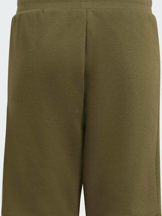 adidas Kids' Athletic Shorts/Bermudas Adicolor Khaki adidas Kids' Athletic Shorts/Bermudas Adicolor Khaki