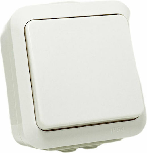Bassiakos Aqua Waterproof Wall-Mounted Electrical Wall Switch One-Way With White Frame L1111