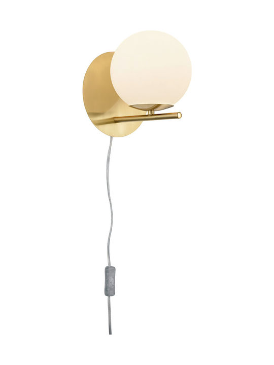 Trio Lighting Pure Модерен Осветително тяло За стена С щепсел с фасунга E14 и ключ Златист 18x20см.