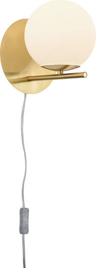 Trio Lighting Pure Modern Lamp Wall Socket with Socket E14 and Switch Gold 18x20cm
