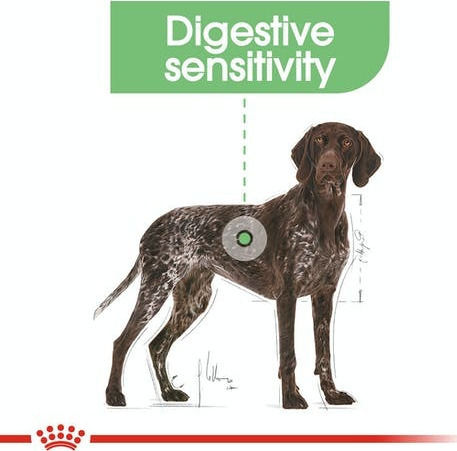 Royal Canin Digestive Care Maxi 3kg Dry Food for Adult Large Breed Dogs with Poultry and Rice