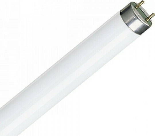 Ledvance Fluorescent Lamp for Socket G13 with Shape T8 58W