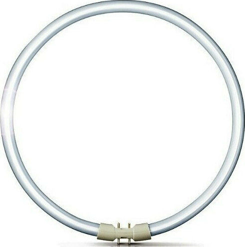 Ledvance Fluorescent Lamp for Socket 2GX13 with Shape T5 55W