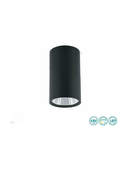 Faro Barcelona Rel Single Spot with Socket GU10 in Black Color