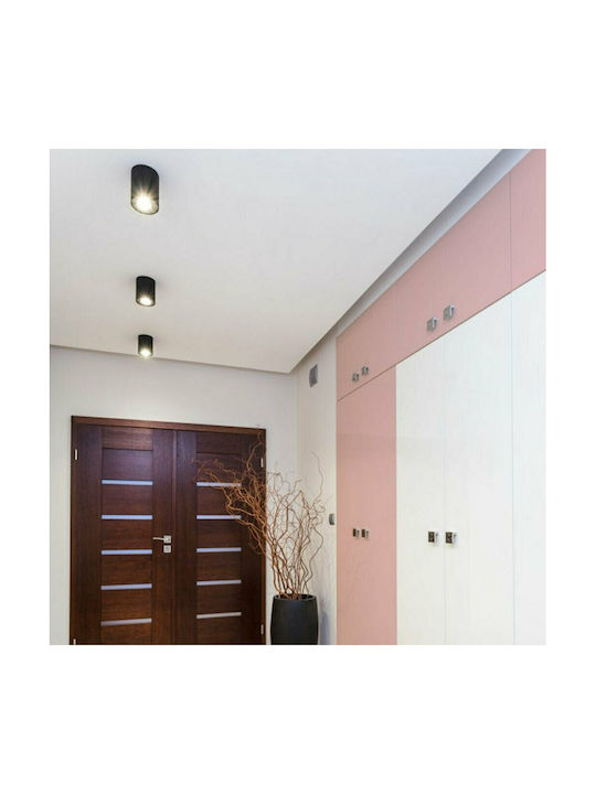 Faro Barcelona Rel Single Spot with Socket GU10 in Black Color