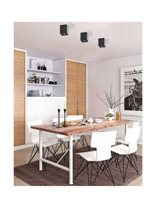 Zambelis Lights Einzel Spot mit Fassung GU10 in Schwarz Farbe