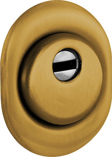 Disec Defender Lock Armoured Door Bronze