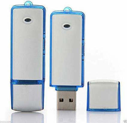Surveillance Bug Silver Capacity 8GB