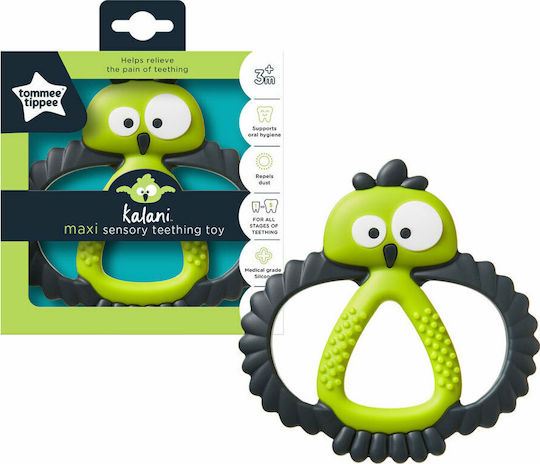Tommee Tippee Kalani Maxi Teething Ring made of Silicone for 3 m+ Green