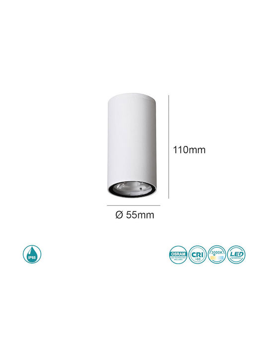 SoleLuce Waterproof Outdoor Ceiling Spot in White Color 2061200229
