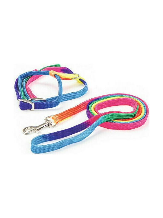 Kerbl Rainbow Harness Set Cat Harness with Guide Rainbow Width 10mm 83191