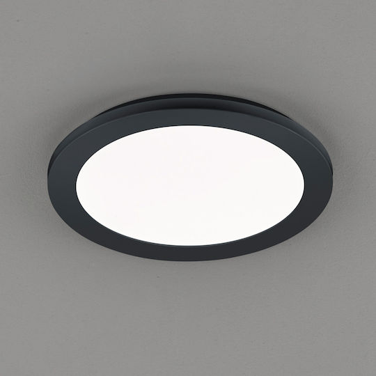 Trio Lighting Camillus Trio Lighting Camillus