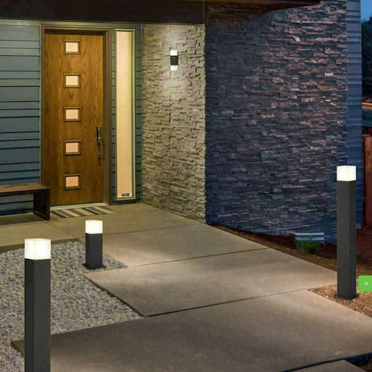 Trio Lighting Hudson Wall-Mounted Outdoor Lighting Ceiling Lamp 8x17cm