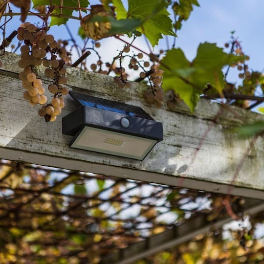 Lutec Wall Mounted Solar Light 2.3W 180lm Cold White 5000K with Motion Sensor IP44 10.9cmx109cmx17.6cmcm
