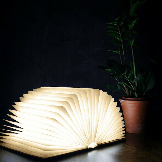 Gingko Decorative Lamp Book Brown