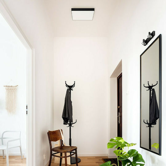 Rendl Light Studio Larisa SQ 17 Ceiling Квадрат На открито LED Панел 15W с Топло бяло Светлина 3000К