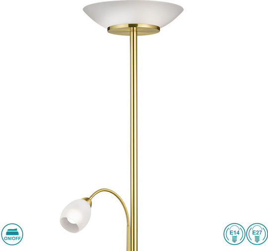Trio Lighting R400631 Trio Lighting R400631