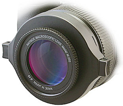 Raynox DCR-250 for 49mm Lens