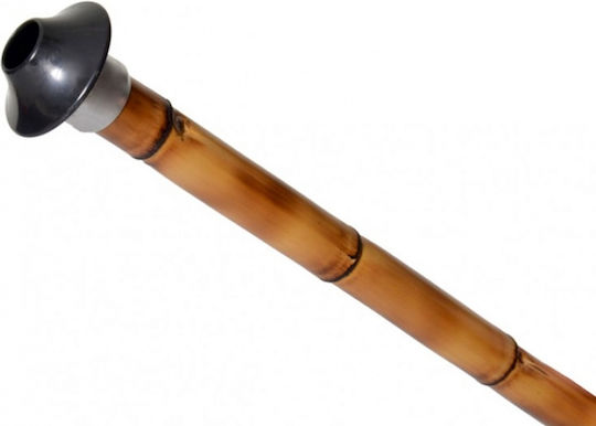 Saz New in Tuning C