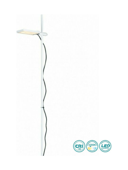 Fan Europe Led Book LED Floor Lamp H182xW16cm. with Warm White Light White