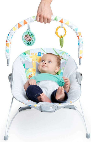 Bright Starts Elektrisch Baby Relax Safari Fun mit Vibration Mehrfarbig für Kind bis 9kg