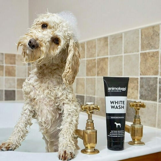 Animology Wash Σαμπουάν Σκύλου για Λευκό Τρίχωμα 250ml