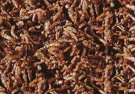 Sera Fd Bloodworms Bottom Fish Food 50ml