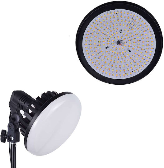 Luminus LED Lampe 150W Dauerlicht Kit Beleuchtungssatz 3200 - 5000K 150W