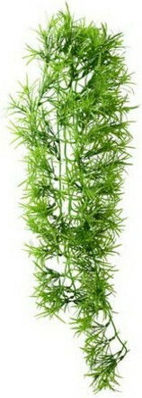 Hobby Aquaristik Climber Tropica Hanging Accessory for Reptiles Terrarium