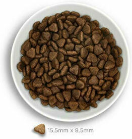 Amanova Adult Exigent 10kg Dry Food Grain-Free for Adult Dogs with Pork