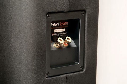 GoldenEar Triton Seven Ζεύγος Ηχείων Hi-Fi Δαπέδου 300W 2 Δρόμων Π18.3xΒ27.9xΥ101εκ. Μαύρο