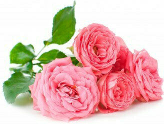 Alteya Organics Rose Water 100ml
