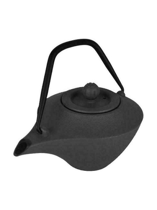 Dinox Teapot with Filter Cast Iron Black 500ml