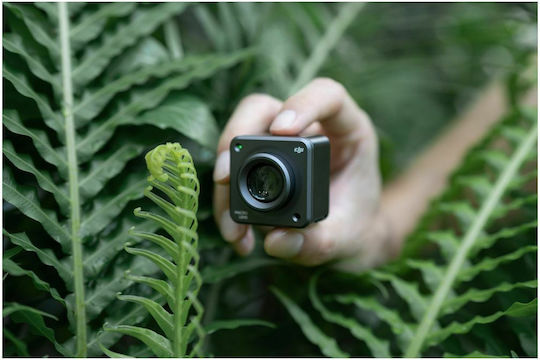 DJI Action 2 Macro Lens for DJI