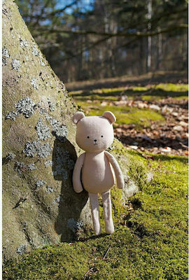 Plush Teddy 30 cm