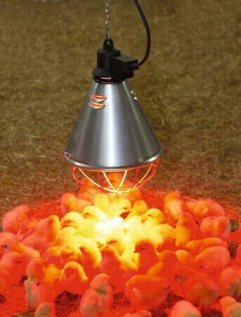 Kerbl Klobstoffmaschine Zubehör