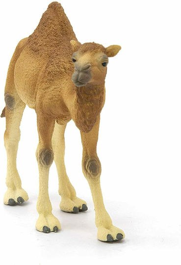 Schleich-S Jucărie Miniatură Cămilă Dromaeus 4cm.