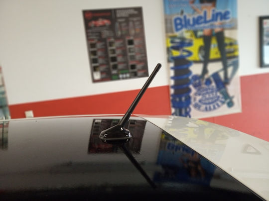 Auto Gs Κεραία Αυτοκινήτου Οροφής 17.5cm Βιδωτή για Ραδιόφωνο