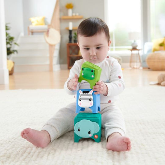 Fisher Price Animal Hello Hands Play Kit with Music for 6++ Months