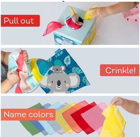Taf Toys Κύβος Δραστηριοτήτων Kimmy Koala Wonder Tissue Box από Ύφασμα για 9+ Μηνών