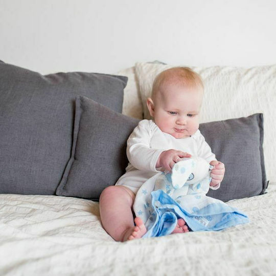 Lulujo Baby Cloth Puppy Blue